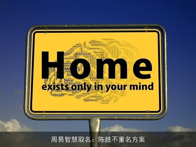 周易智慧取名：陈姓不重名方案
