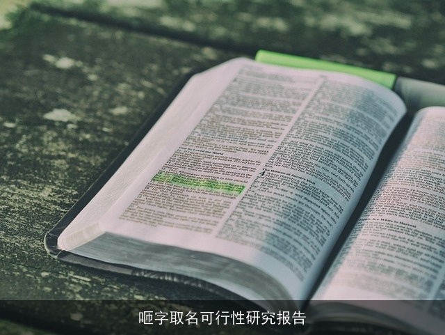 咂字取名可行性研究报告