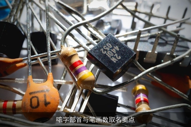哝字部首与笔画数取名要点