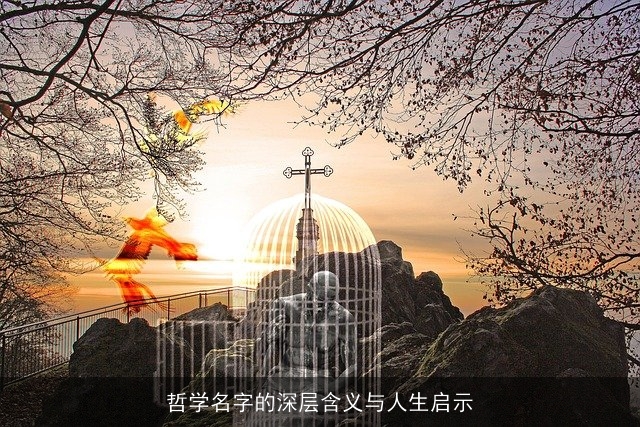 哲学名字的深层含义与人生启示