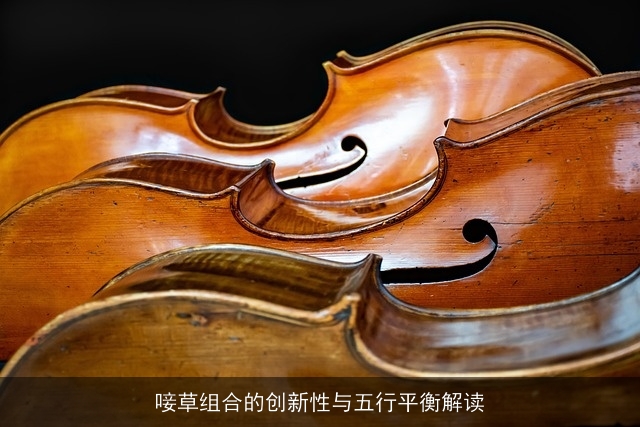 唼草组合的创新性与五行平衡解读