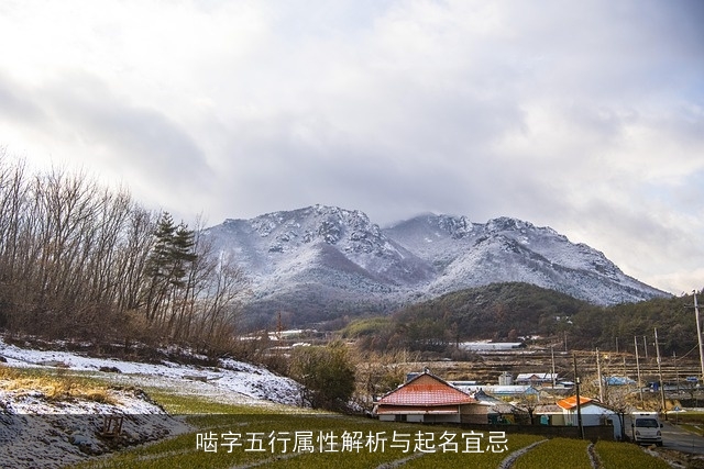 啮字五行属性解析与起名宜忌