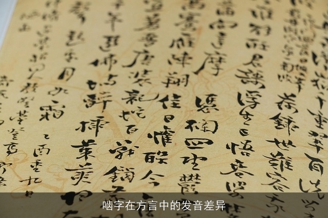 啮字在方言中的发音差异