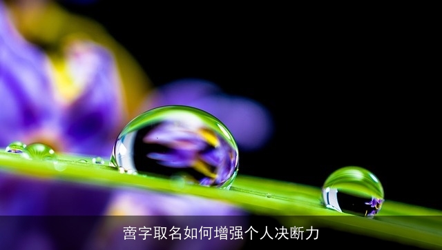 啻字取名如何增强个人决断力