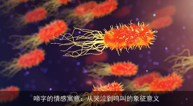 啼字的情感寓意：从哭泣到鸣叫的象征意义
