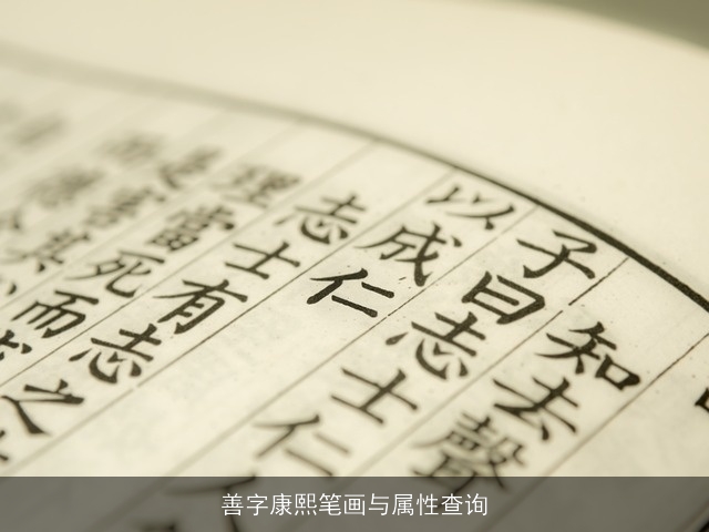 善字康熙笔画与属性查询