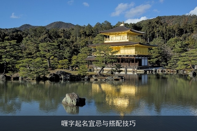 喱字起名宜忌与搭配技巧