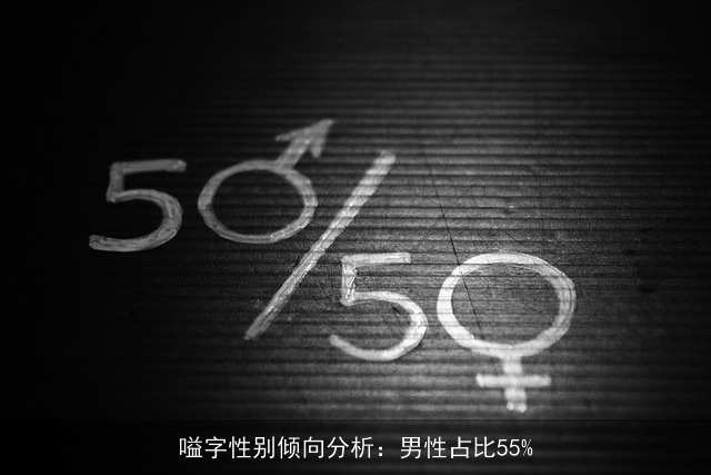 嗌字性别倾向分析：男性占比55%