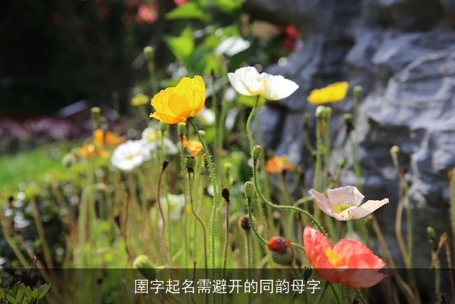 圉字起名需避开的同韵母字