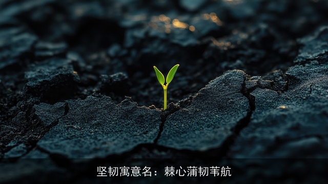 坚韧寓意名：棘心蒲韧苇航