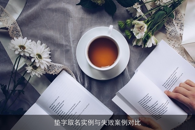 垫字取名实例与失败案例对比