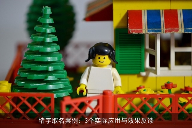 堵字取名案例：3个实际应用与效果反馈