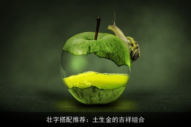 壮字搭配推荐：土生金的吉祥组合