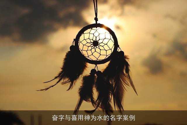 奋字与喜用神为水的名字案例