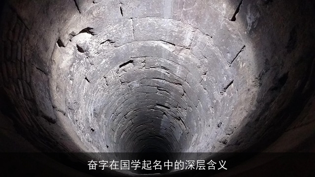 奋字在国学起名中的深层含义