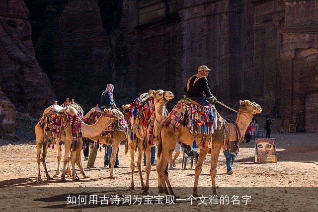 如何用古诗词为宝宝取一个文雅的名字