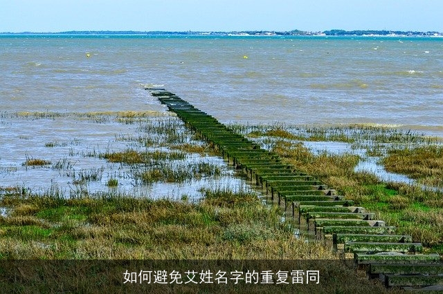如何避免艾姓名字的重复雷同