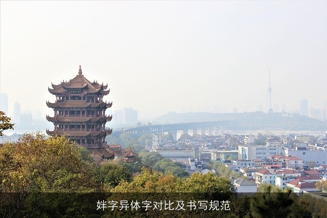 姅字异体字对比及书写规范