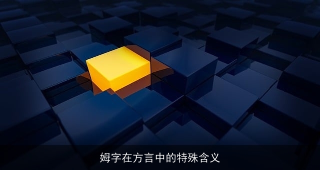 姆字在方言中的特殊含义