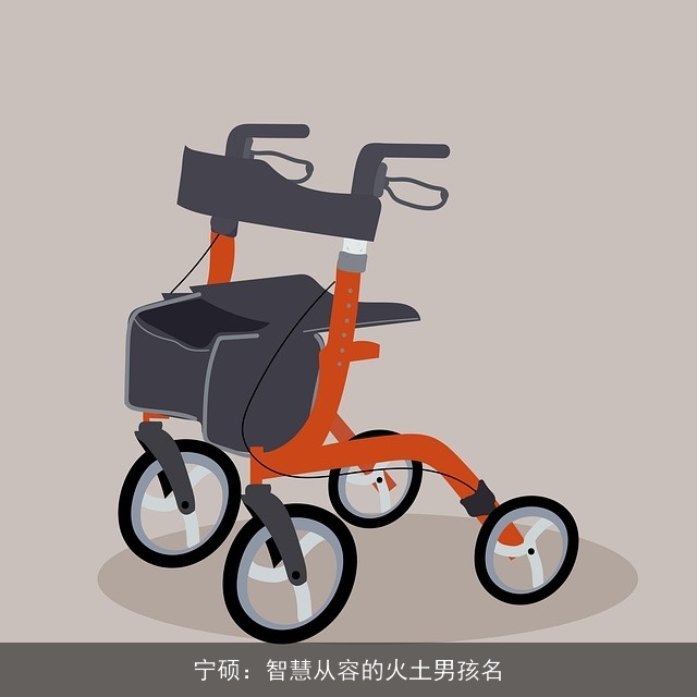 宁硕：智慧从容的火土男孩名
