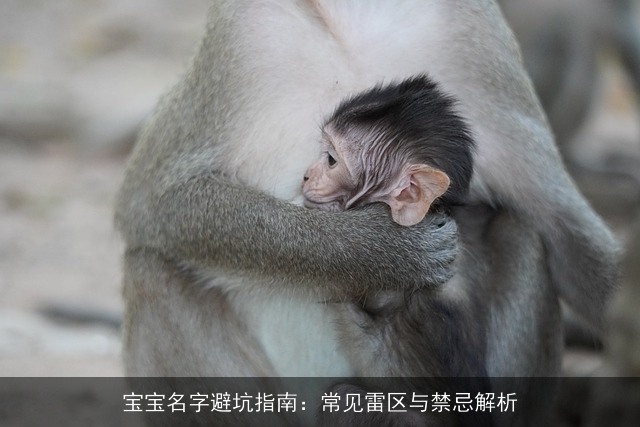 宝宝名字避坑指南：常见雷区与禁忌解析