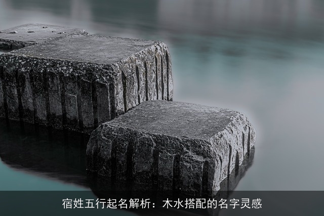 宿姓五行起名解析：木水搭配的名字灵感