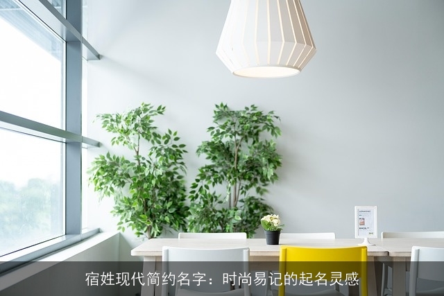 宿姓现代简约名字：时尚易记的起名灵感