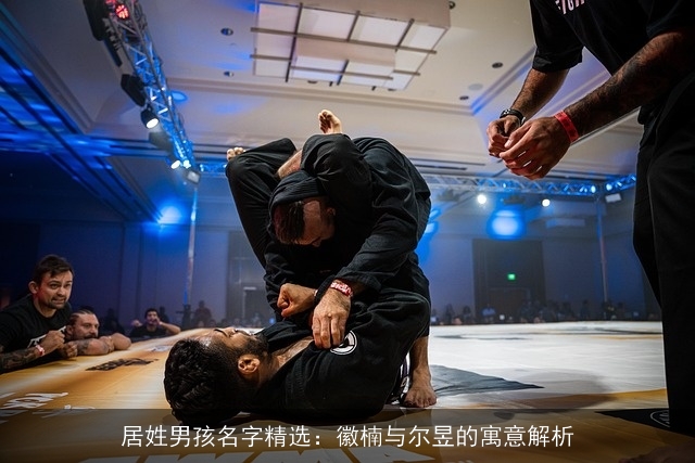 居姓男孩名字精选：徽楠与尔昱的寓意解析
