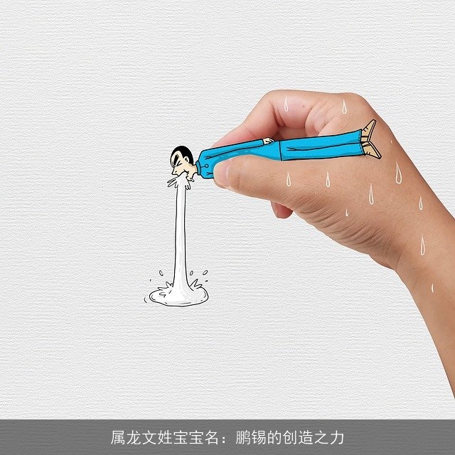 属龙文姓宝宝名：鹏锡的创造之力