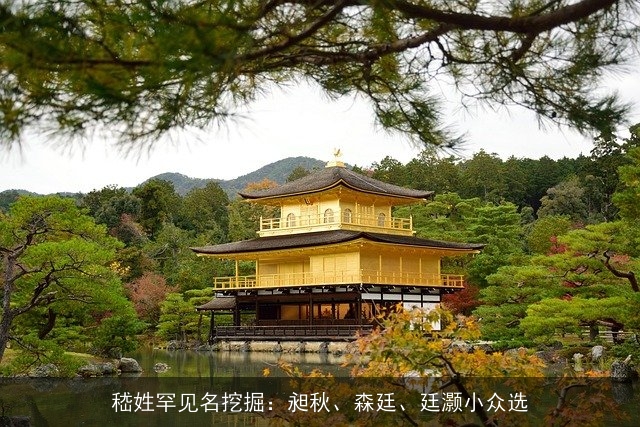 嵇姓罕见名挖掘：昶秋、森廷、廷灏小众选