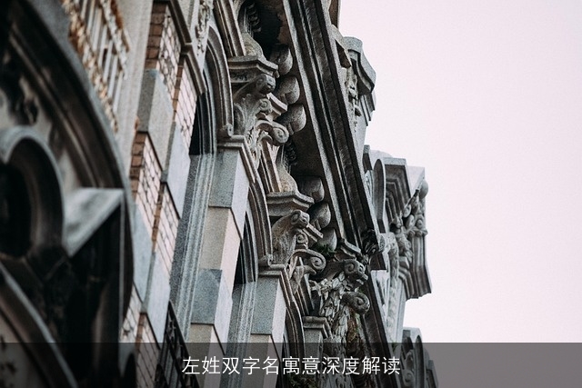 左姓双字名寓意深度解读