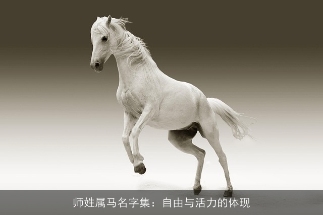 师姓属马名字集：自由与活力的体现