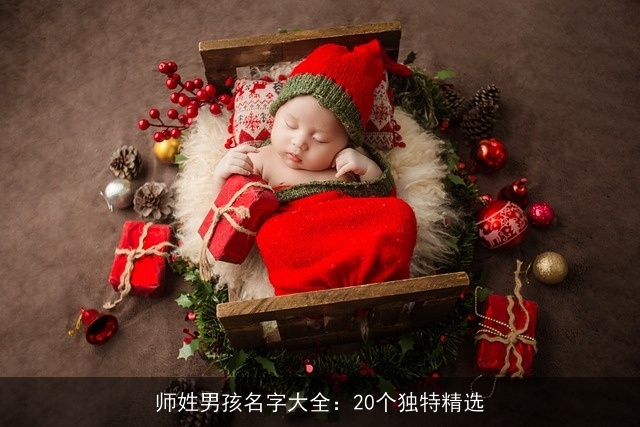 师姓男孩名字大全：20个独特精选