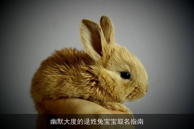 幽默大度的逯姓兔宝宝取名指南