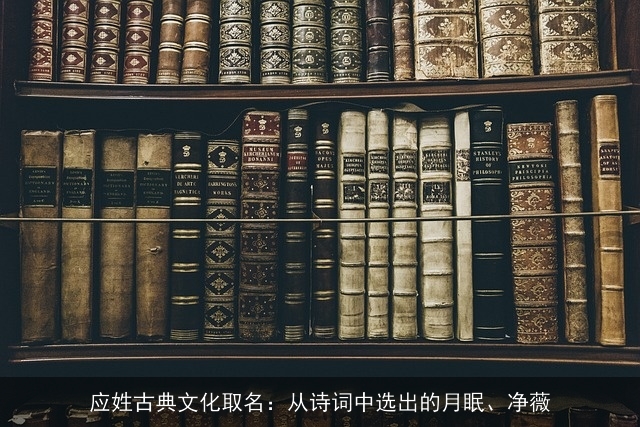 应姓古典文化取名：从诗词中选出的月眠、净薇