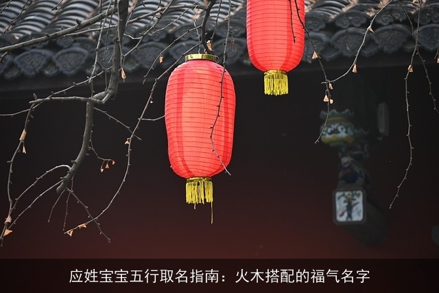 应姓宝宝五行取名指南：火木搭配的福气名字