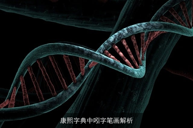 康熙字典中吲字笔画解析