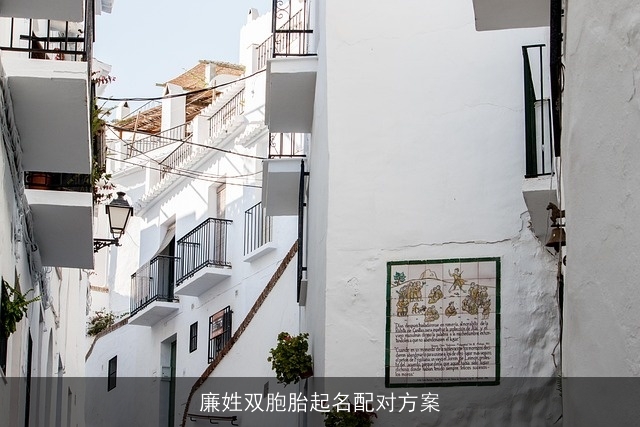 廉姓双胞胎起名配对方案