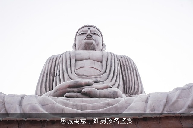 忠诚寓意丁姓男孩名鉴赏