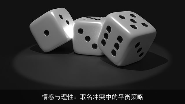 情感与理性：取名冲突中的平衡策略