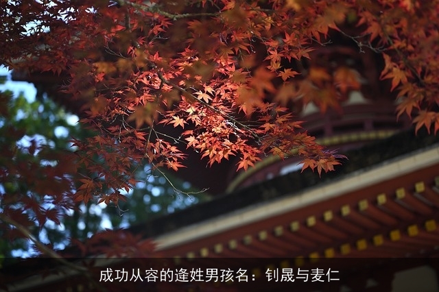 成功从容的逄姓男孩名：钊晟与麦仁