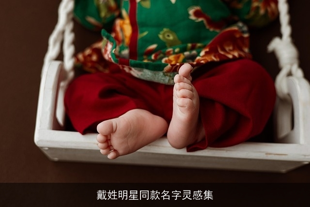 戴姓明星同款名字灵感集