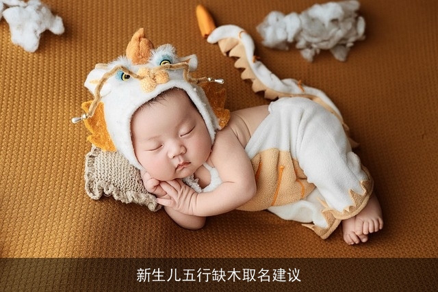 新生儿五行缺木取名建议