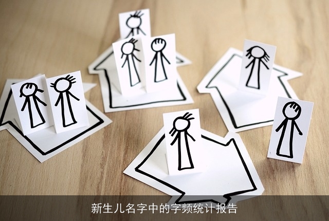 新生儿名字中的字频统计报告