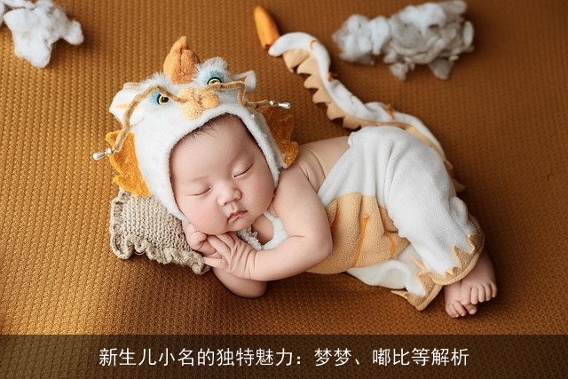 新生儿小名的独特魅力：梦梦、嘟比等解析
