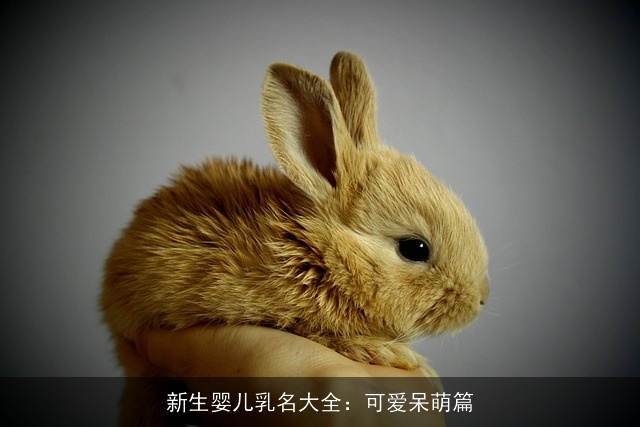 新生婴儿乳名大全：可爱呆萌篇