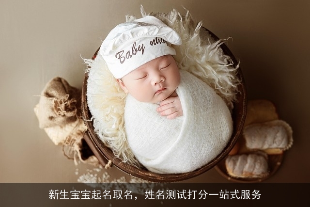 新生宝宝起名取名，姓名测试打分一站式服务