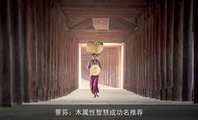 景荪：木属性智慧成功名推荐