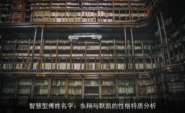智慧型傅姓名字：东翔与默凯的性格特质分析