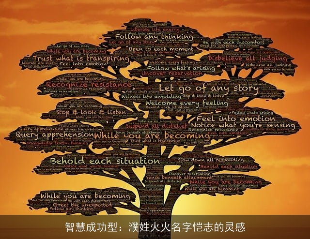 智慧成功型：濮姓火火名字恺志的灵感